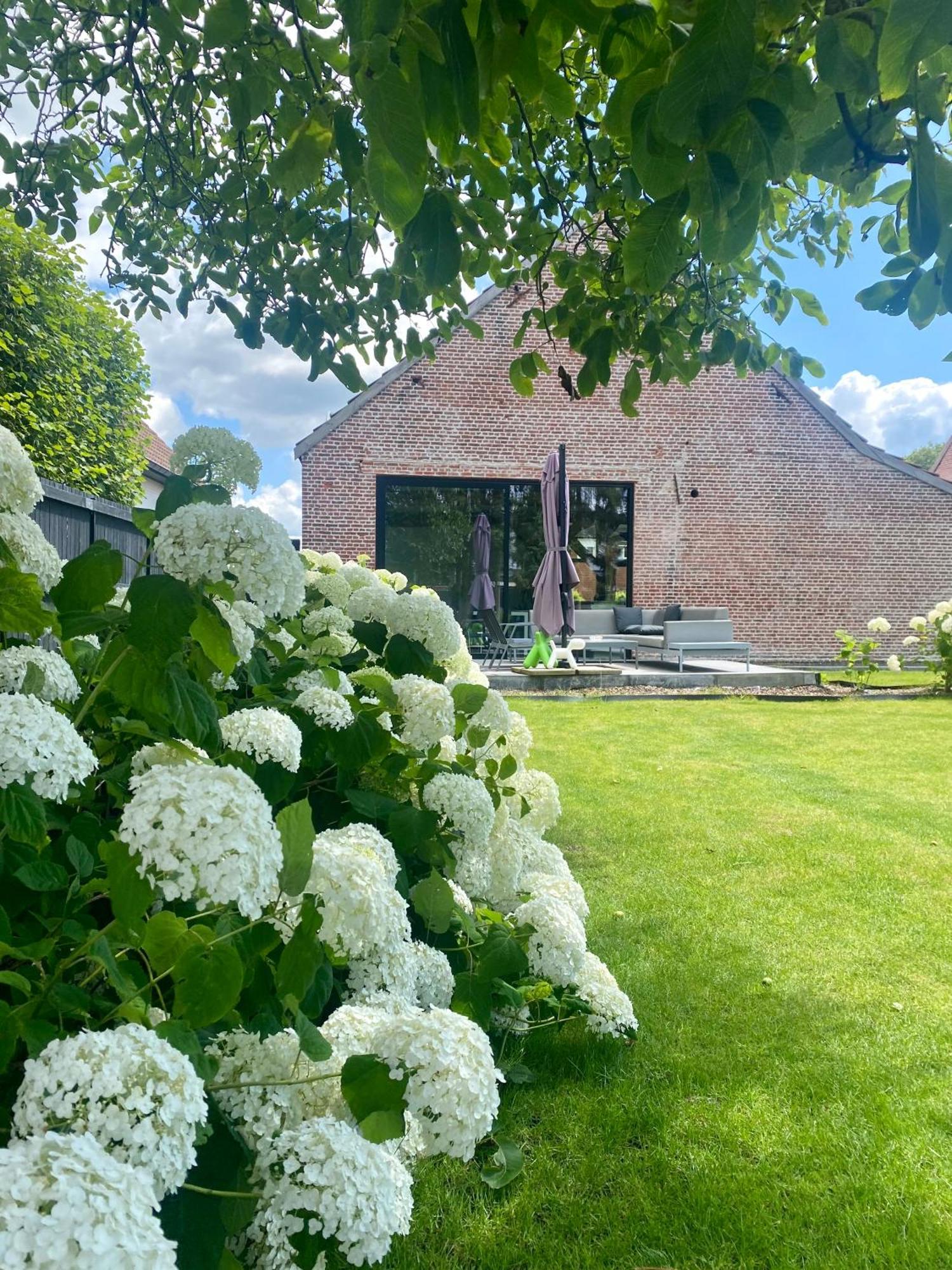 Hoeve De Kleinheide Dessel Εξωτερικό φωτογραφία