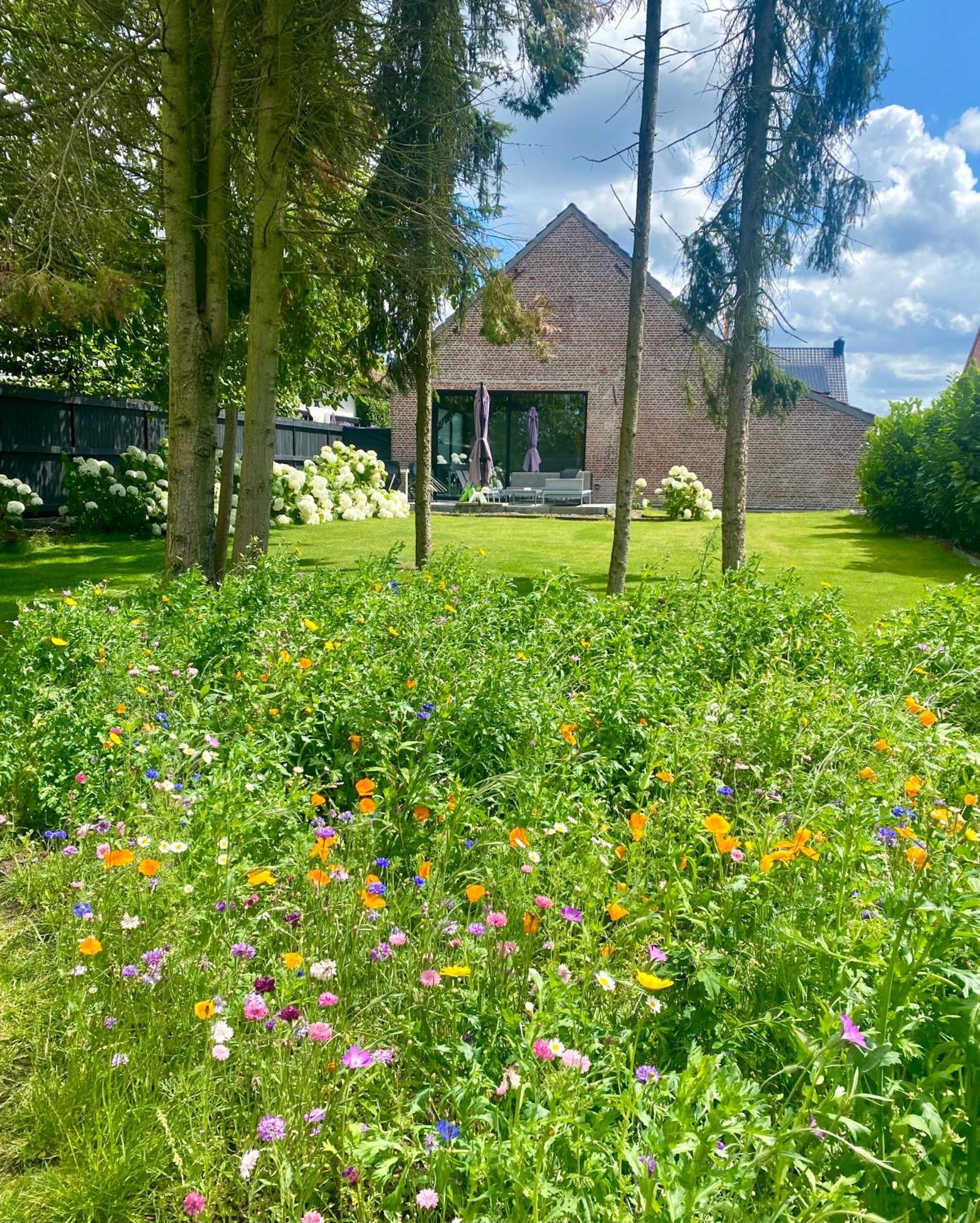 Hoeve De Kleinheide Dessel Εξωτερικό φωτογραφία