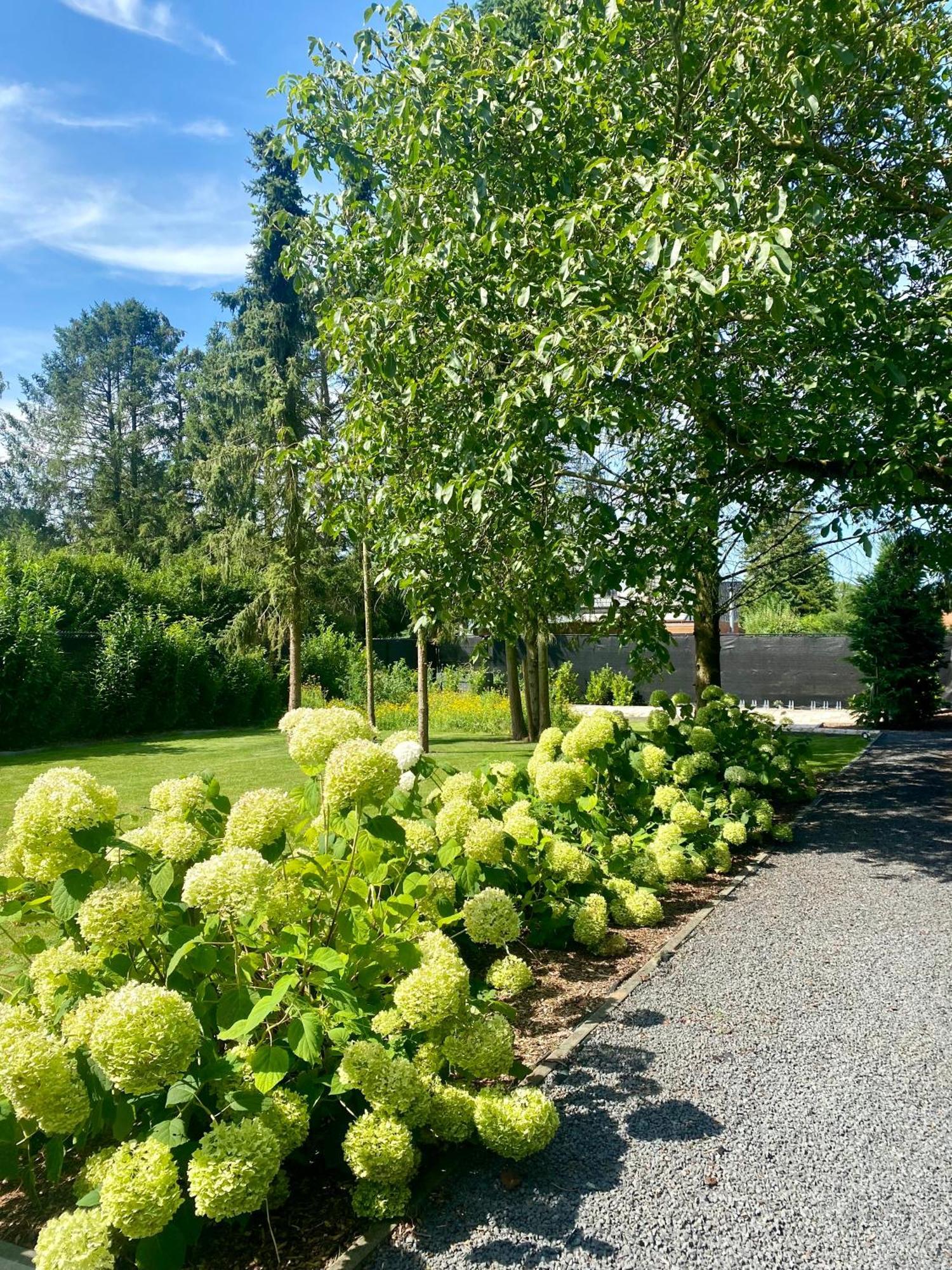 Hoeve De Kleinheide Dessel Εξωτερικό φωτογραφία