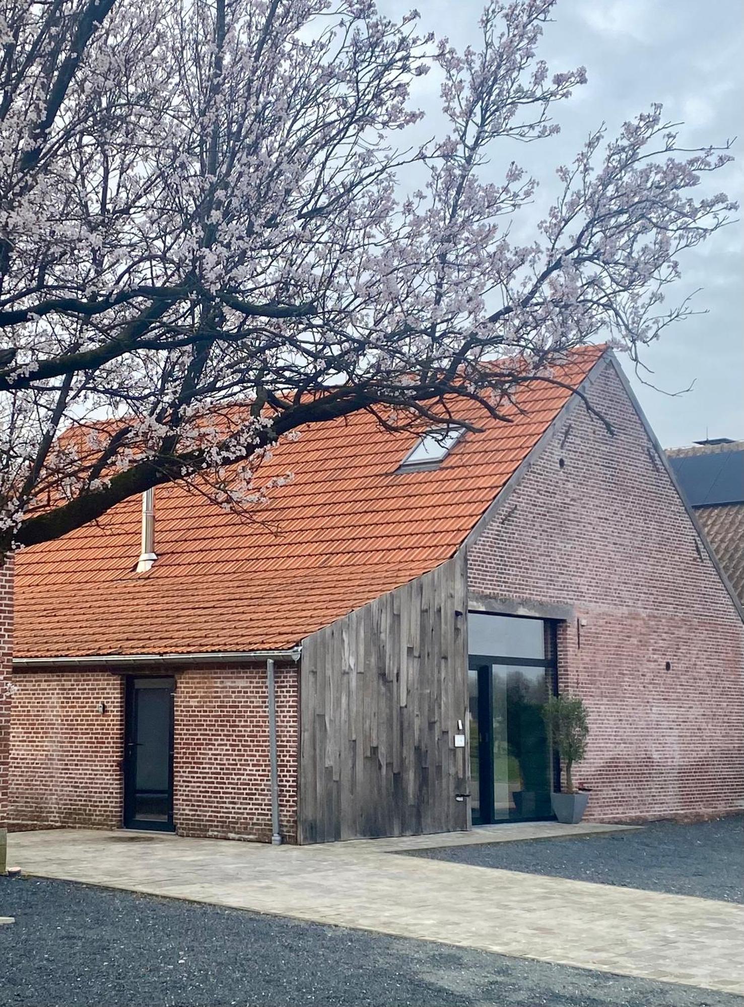 Hoeve De Kleinheide Dessel Εξωτερικό φωτογραφία